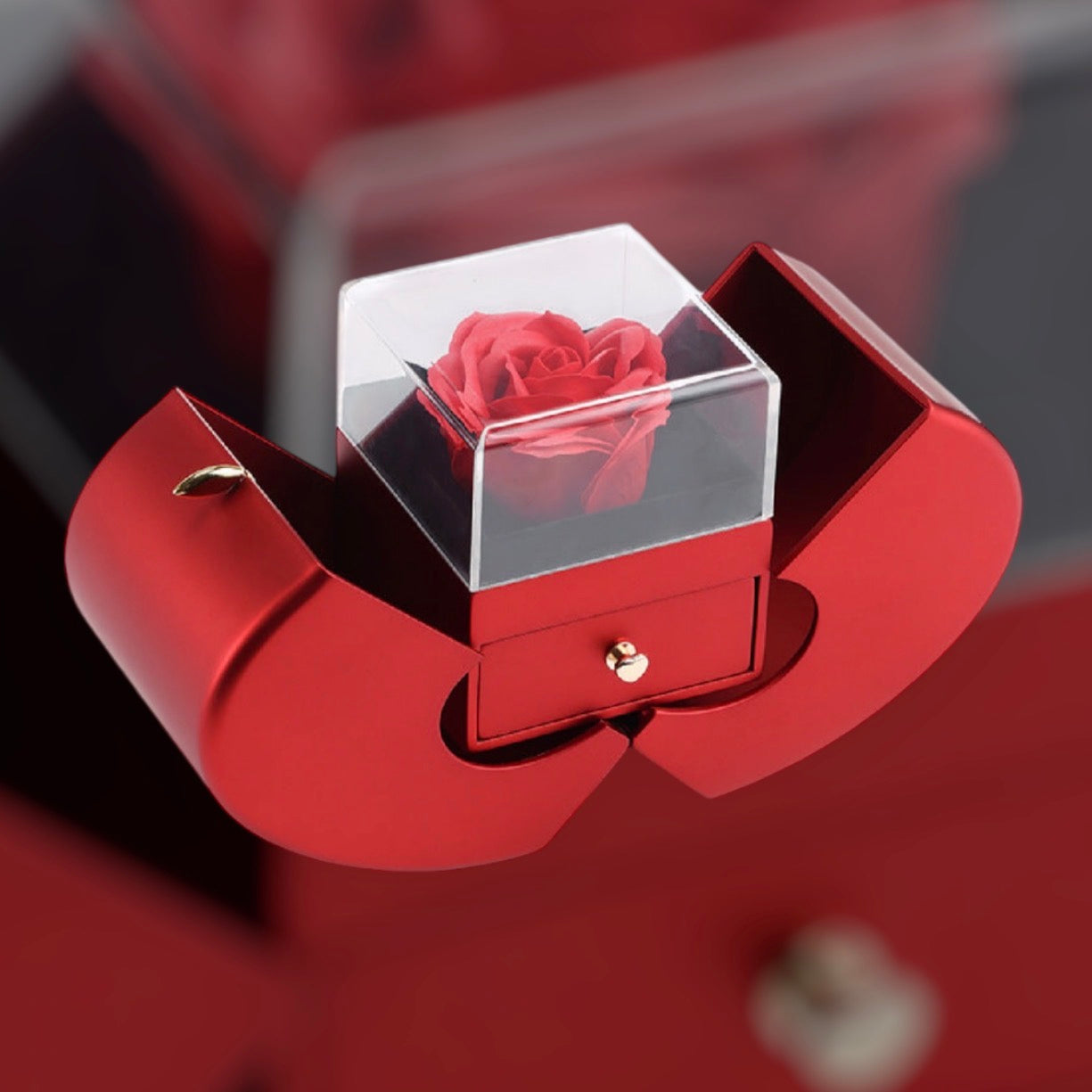 ベストセラーの新作ダブルオープン不朽花アップルジュエリーボックス
クリスマスギフトボックス